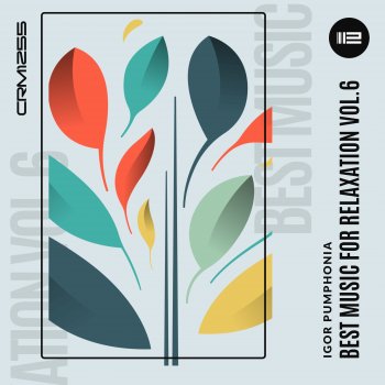 Исполнитель Igor Pumphonia, альбом Best Music for Relaxation vol.6