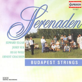 Budapest Strings feat. Karoly Botvay Serenade in E Minor, Op. 20: III. Allegretto