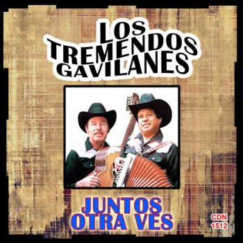 Los Tremendos Gavilanes Los Albañiles