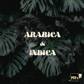 Mellow House Arabica & Indica