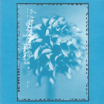 Placid Angles Everything Under the Sun