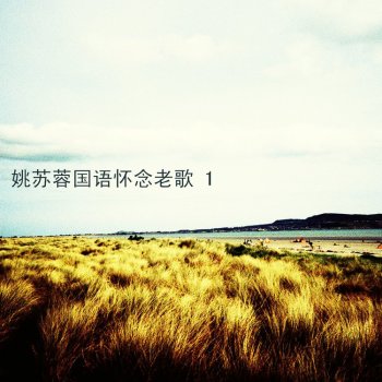 姚蘇蓉 愛情如水向東流 (Love Never Stops as Water)