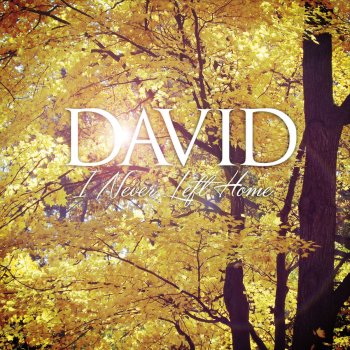 David Rescue Me