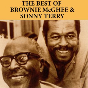 Sonny Terry & Brownie McGhee Blues from the Lowlands