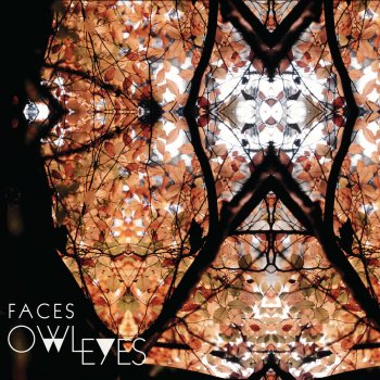 Owl Eyes Fire Hotel