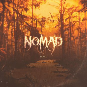 Nomad Feed