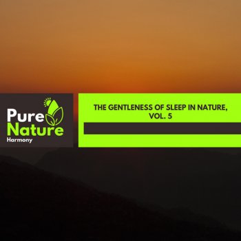 Paradise Nature Fire Sound Divine and Soothing Owl Noise