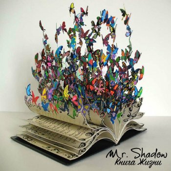Mr. Shadow Пламя
