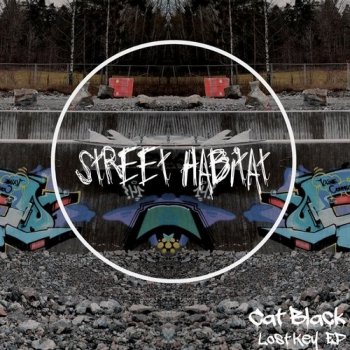 Cat Black feat. The Flashers Lost Key - Flashers Remix