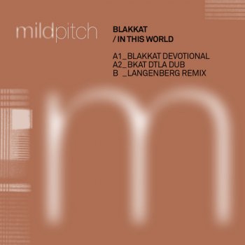 Blakkat In This World (Langenberg Mix)