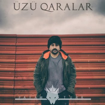 Payam Turk Üzü Qaralar