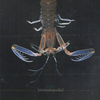 Vorm Escamas