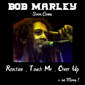 Bob Marley & The Wailers Stop the Train