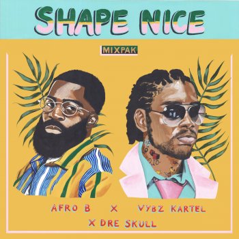 Afro B feat. Vybz Kartel & Dre Skull Shape Nice