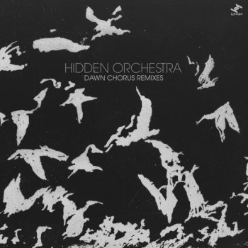 Исполнитель Hidden Orchestra, альбом Dawn Chorus Remixes