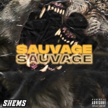 Shems Sauvage