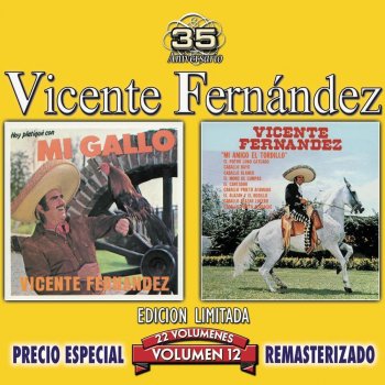 Vicente Fernández Yo No Me Quiero Ir