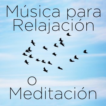Richard Clayderman Le Cygne