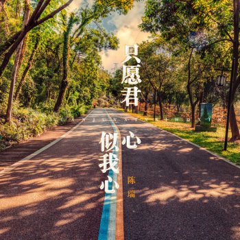 陈瑞 只愿君心似我心
