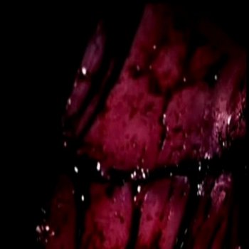 Horrormovies Cutting (feat. Maxo Xoxo)