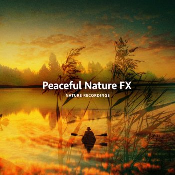 Nature Recordings Tundra Blossoms