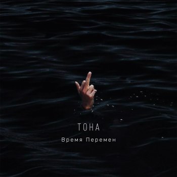 Исполнитель ТоНа, альбом Время перемен - Single