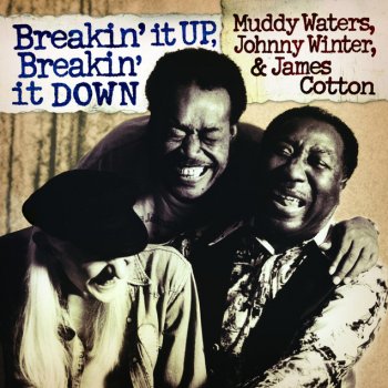 Johnny Winter feat. Muddy Waters & James Cotton I Done Got over It