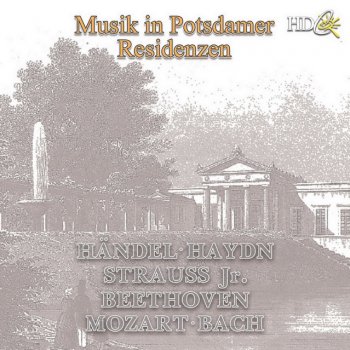 Lithuanian Chamber Orchestra Flute Concerto No.1 In G Major K. 313