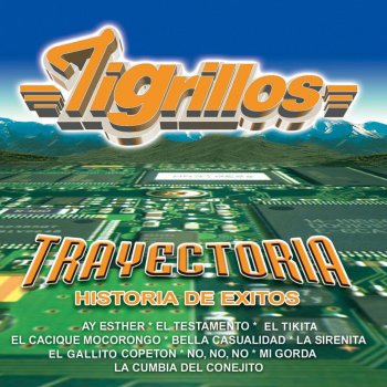 Los Tigrillos Mi gorda