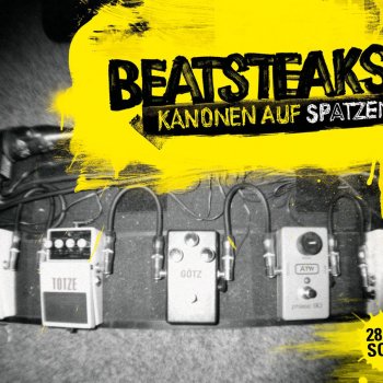 Beatsteaks Hey du (Live At St. Gallen Open Air, St. Gallen)