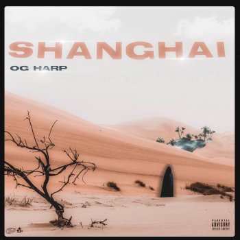 OG Harp Shanghai