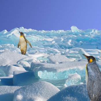 Исполнитель Tahiti 80, альбом Really Really - Single