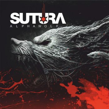 Sutura Intro