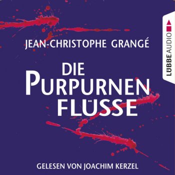 Jean-Christophe Grangé Dreizehn Uhr