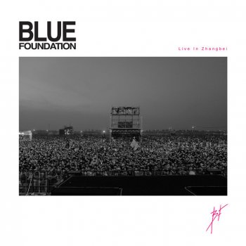 Blue Foundation Punk Rock (Live)