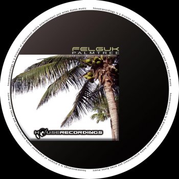 Felguk Palmtree (Aaren San Remix)