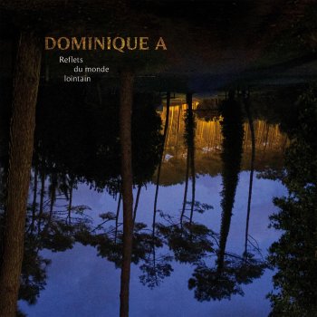 Исполнитель Dominique A, альбом Reflets du monde lointain