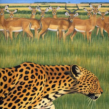 Fantastic Plastic Machine Euphoria (Mondo Grosso Re-mix)