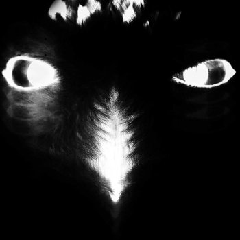 Alejandro Mosso Altiplano