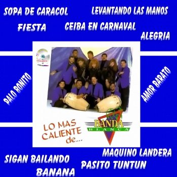 Banda Blanca Querida