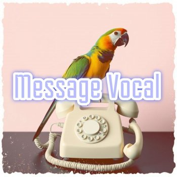 Исполнитель Dr.Physix, альбом Message Vocal