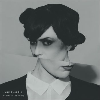 Jane Tyrrell Shapeshifters