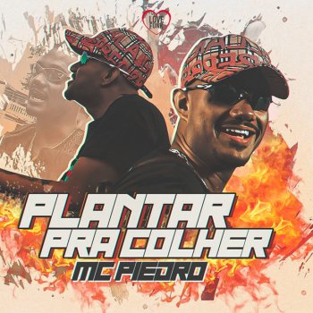 Mc Piedro Plantar pra Colher