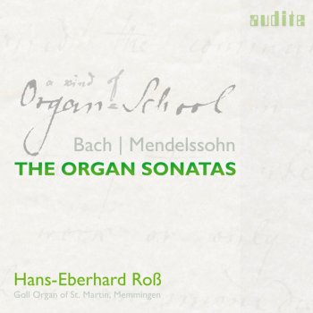 Johann Sebastian Bach feat. Hans-Eberhard Roß Organ Sonata No. 2 in C Minor, BWV 526: II. Largo