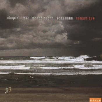 Frédéric Chopin feat. Grigory Sokolov 24 Preludes for Piano, Op. 28: No 20, Largo in C Minor