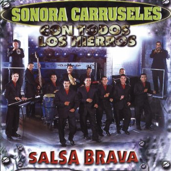 Sonora Carruseles Mosaico 4