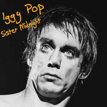 Iggy Pop Raw Power