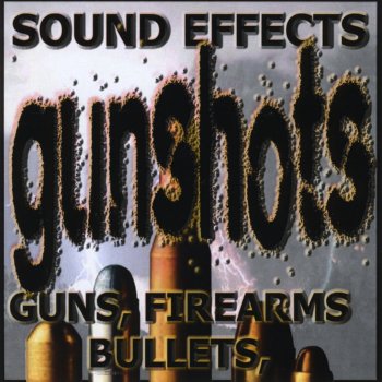 Sound Effects Gun - Pump