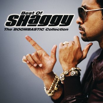 Shaggy Feel the Rush (Radio Edit) [feat. Trix & Flix]