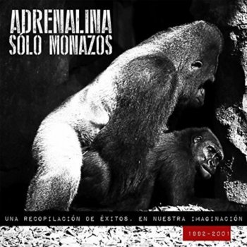 Adrenalina Mi Ciudad 2000